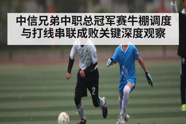 中信兄弟中职总冠军赛牛棚调度与打线串联成败关键深度观察